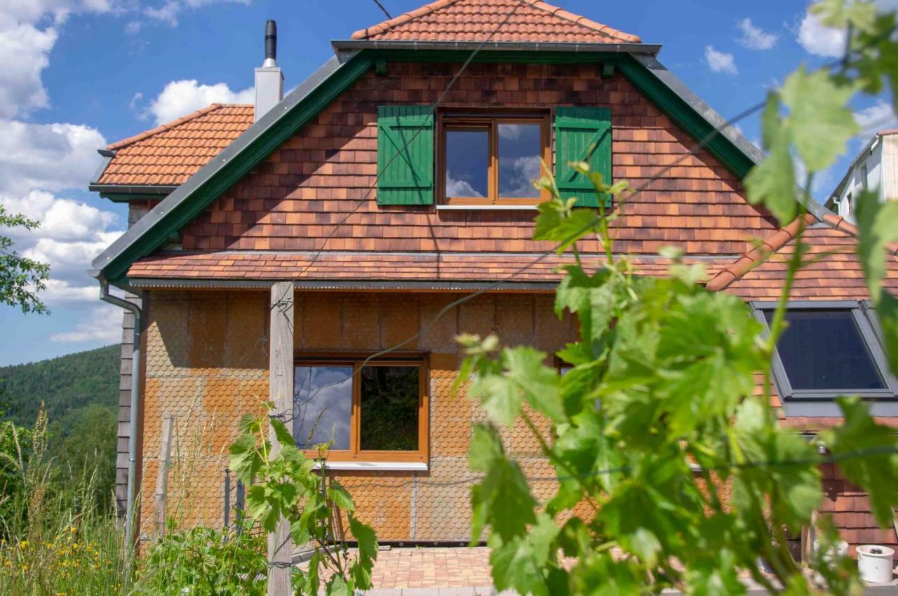 Le Gite Du Wildbach Wildersbach Esterno foto